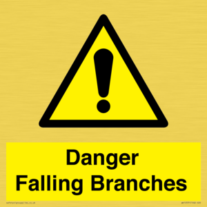 Danger Falling Branches